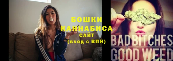 индика Пересвет