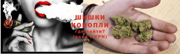 индика Пересвет