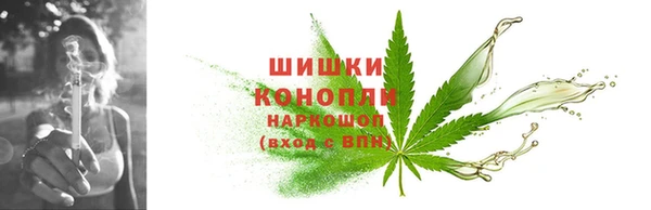 индика Пересвет