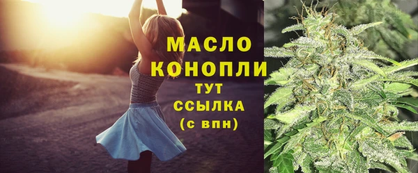 индика Пересвет