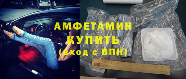 индика Пересвет