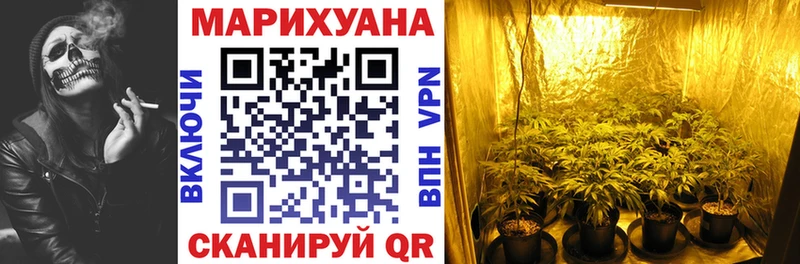 МАРИХУАНА Amnesia  Ветлуга 
